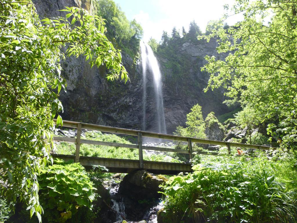 Appartement La Gentiane Le Mont-Dore