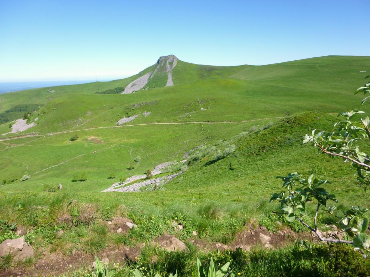 La Gentiane Le Mont-Dore